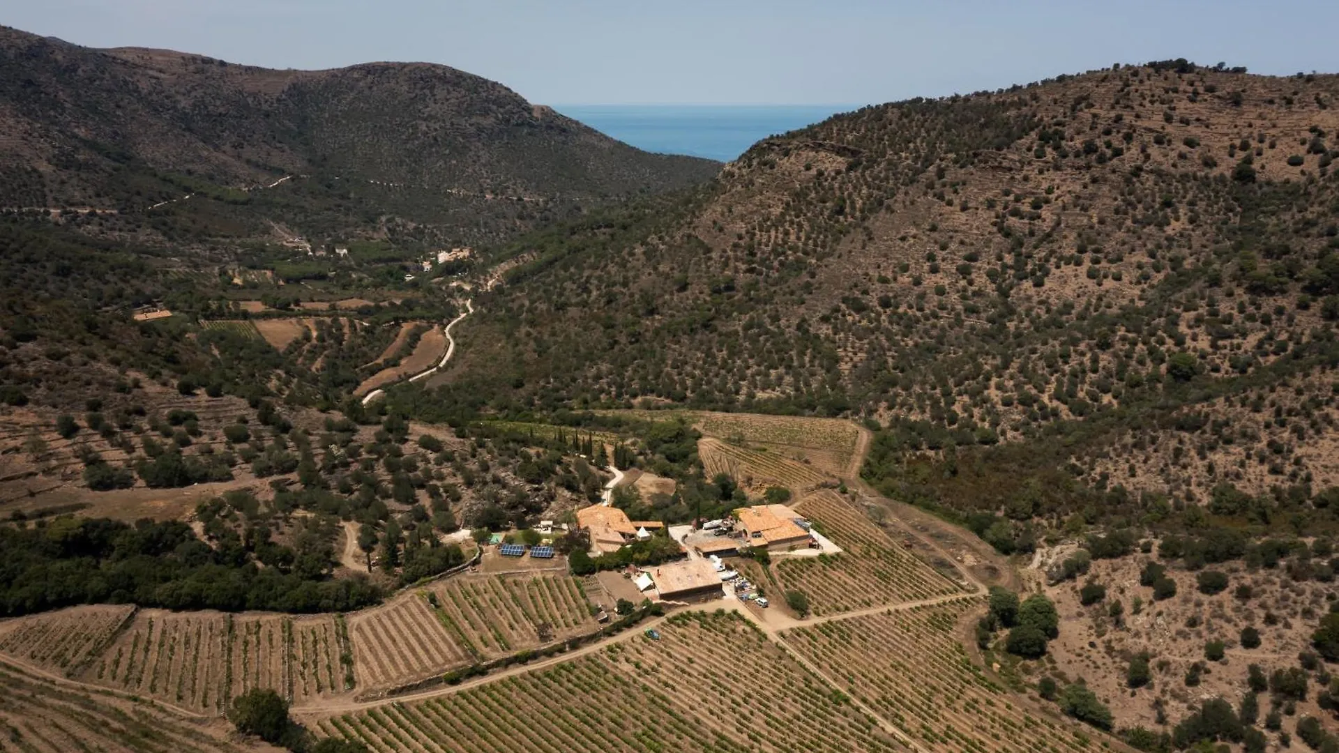 Mas Estela Rai La La Selva de Mar